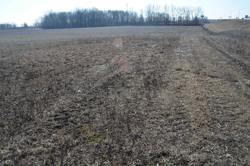 Property photo 37 - East Allen County - 55 Acre Land Auction
